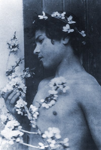 Study of a young boy with flowers in his hair by Baron Wilhelm von Gloeden